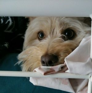 Meet your Posher, Jocelyn